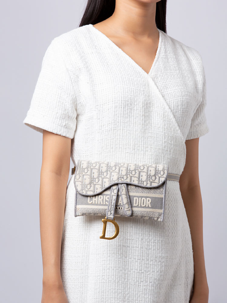 Christian dior best sale slim saddle pouch