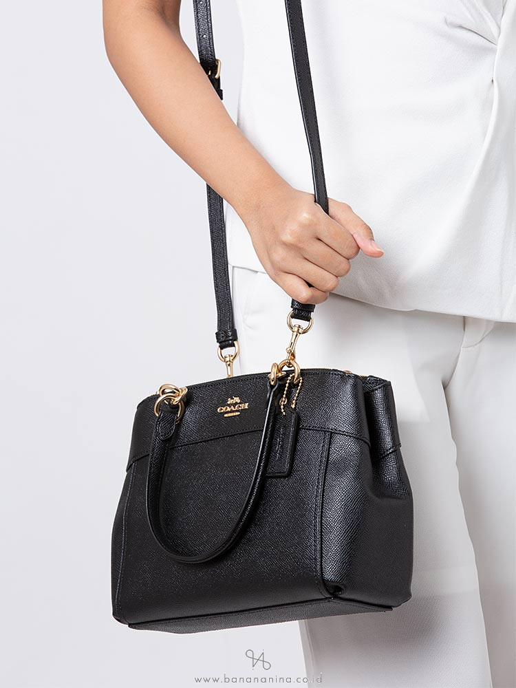 coach brooke carryall