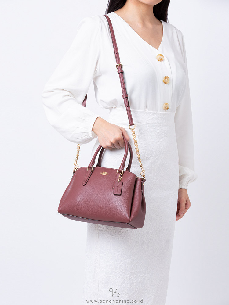 mini sage carryall coach