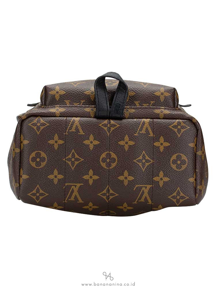 LOUIS VUITTON Monogram Palm Springs PM Backpack