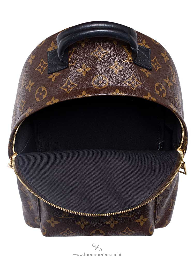 LOUIS VUITTON Monogram Palm Springs PM Backpack
