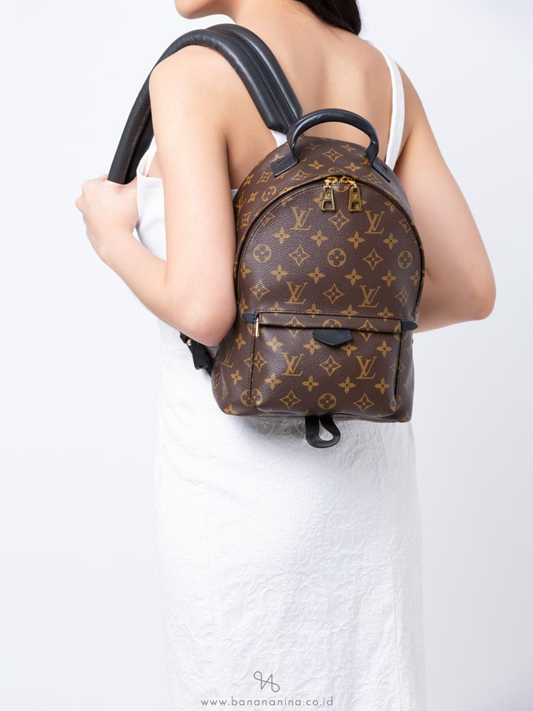 LOUIS VUITTON Monogram Palm Springs PM Backpack