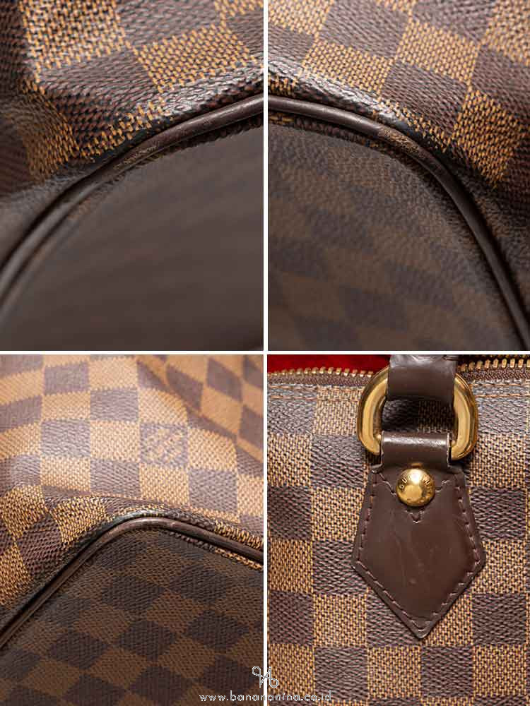 LOUIS VUITTON Damier Ebene Saleya MM