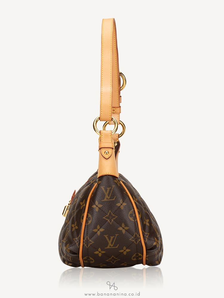 LOUIS VUITTON Monogram Etoile City PM