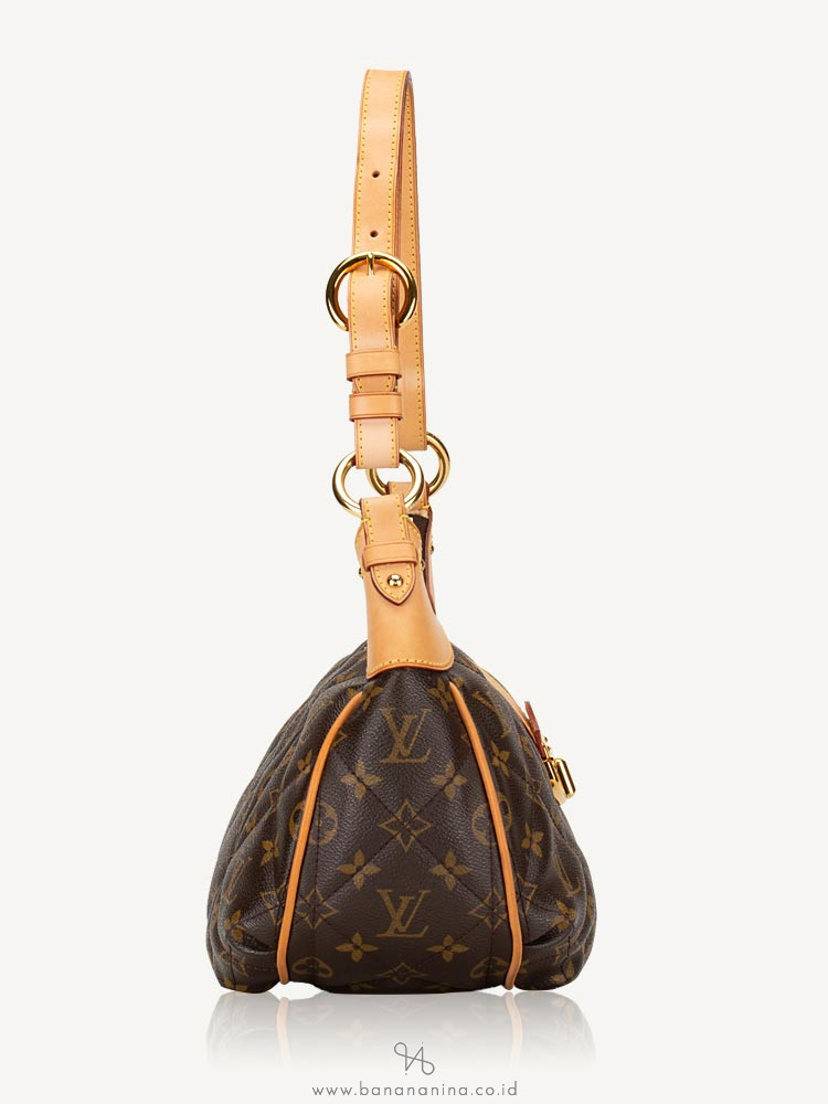 LOUIS VUITTON Monogram Etoile City PM