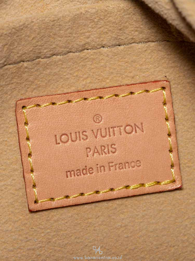 LOUIS VUITTON Monogram Etoile City PM