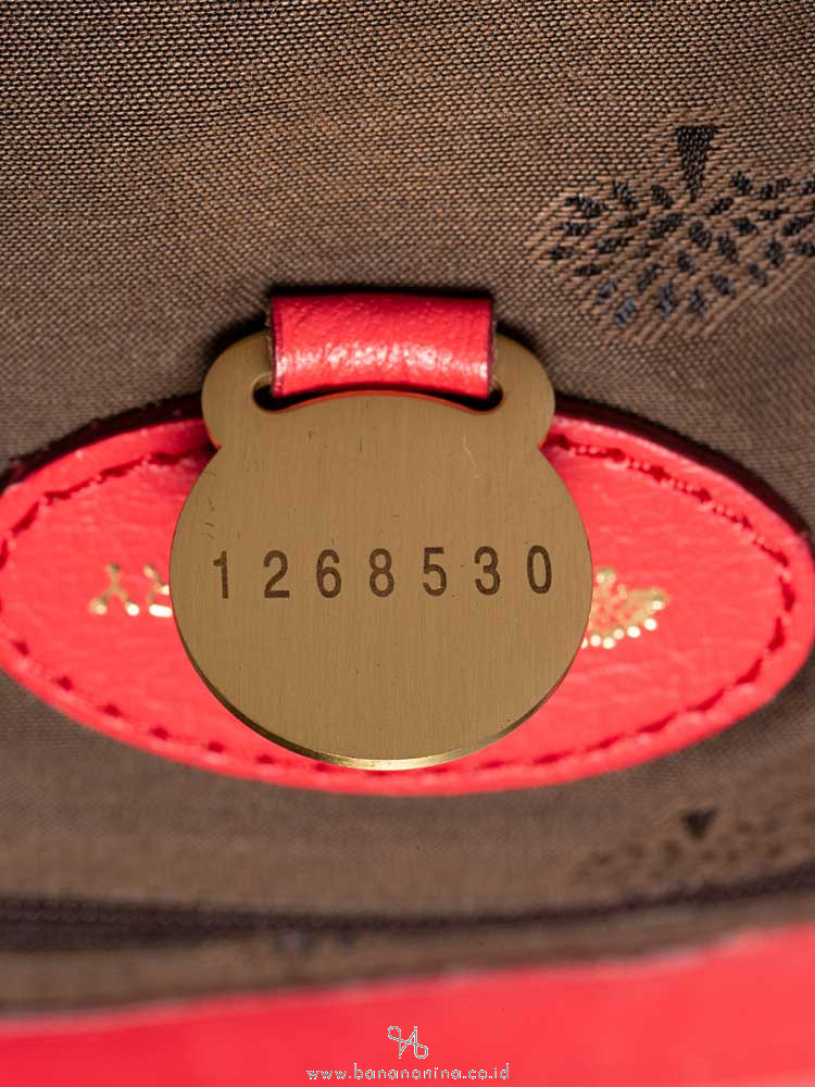 MULBERRY Medium Alexa Watermelon