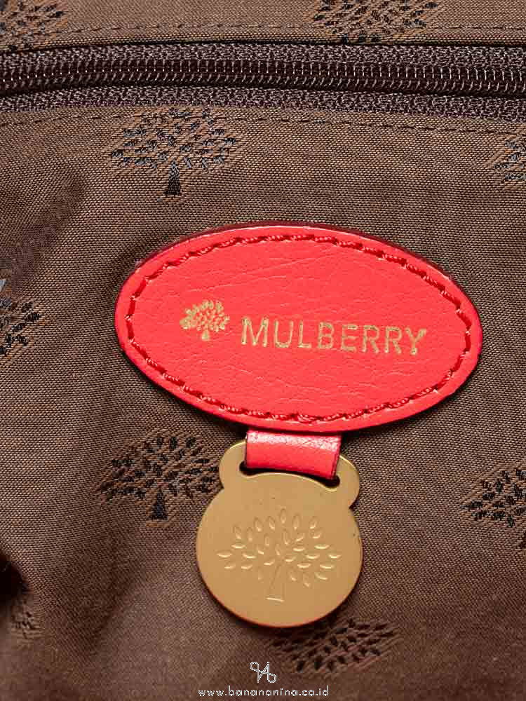 MULBERRY Medium Alexa Watermelon