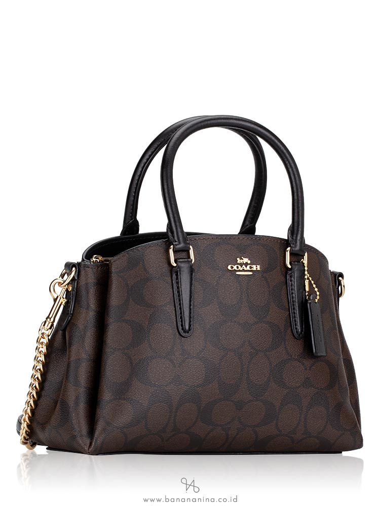 COACH 29434 Signature Mini Sage Carryall Brown Black