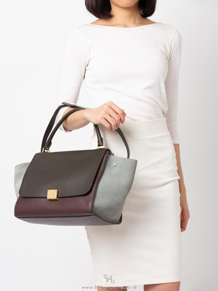 CELINE Calfskin and Suede Medium Tri-Color Trapeze Grey