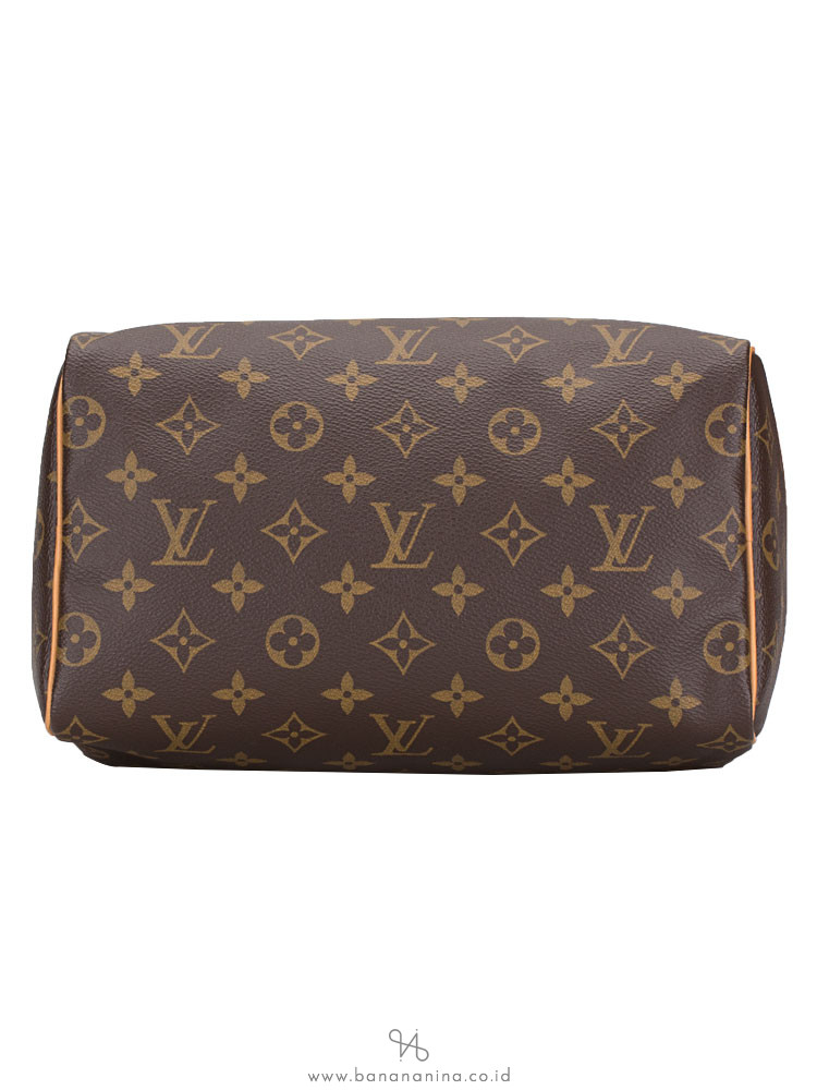 LOUIS VUITTON Monogram Speedy 25