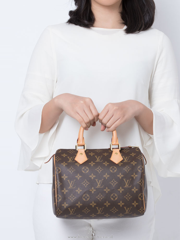 LOUIS VUITTON Monogram Speedy 25