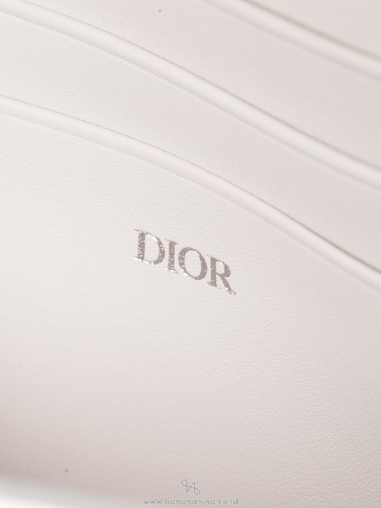 CHRISTIAN DIOR X Rimowa Aluminum Personal Clutch Silver