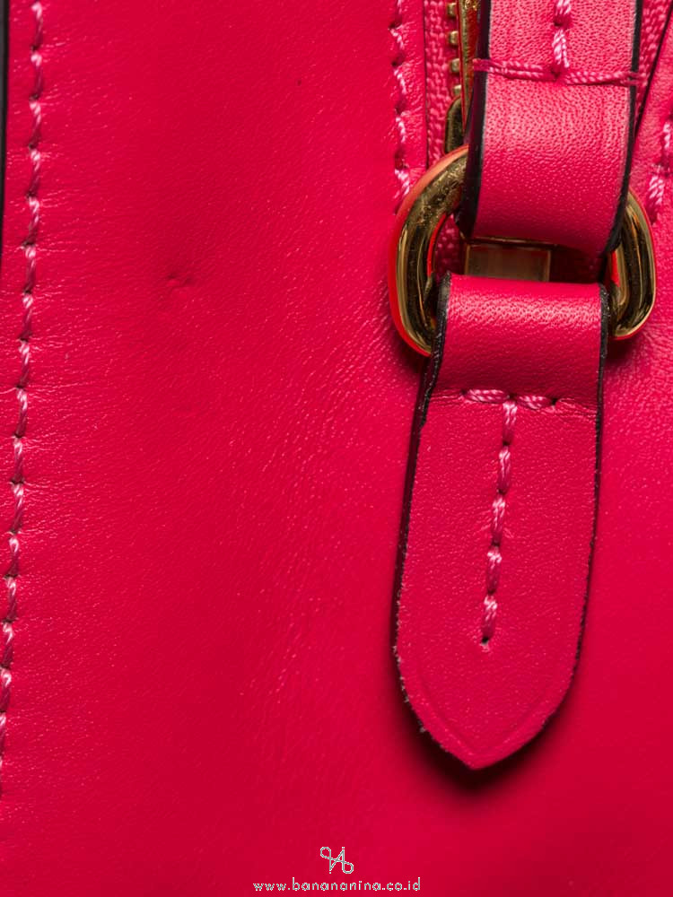 LOUIS VUITTON Monogram Saintonge Freesia