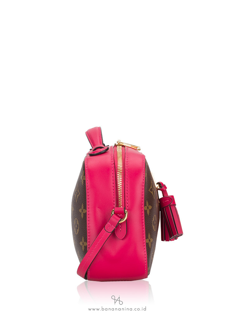 LOUIS VUITTON Monogram Saintonge Freesia