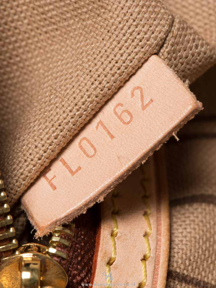 LOUIS VUITTON Monogram Delightful MM