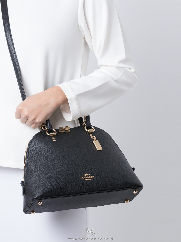 Katy satchel 2025 with sunset motif