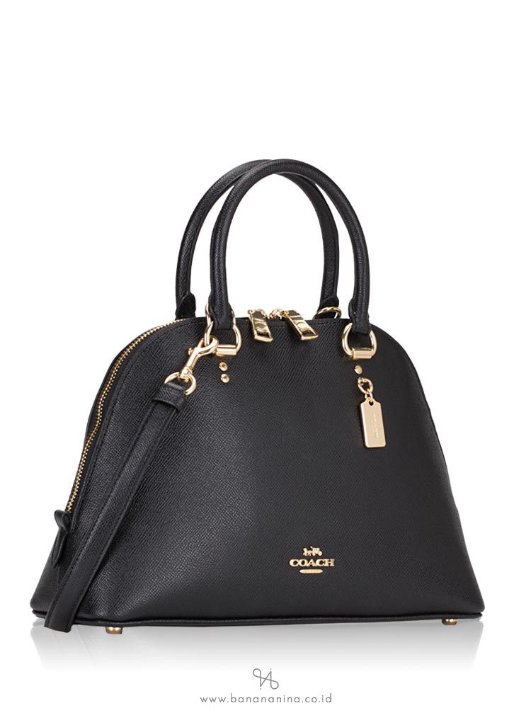coach katy satchel