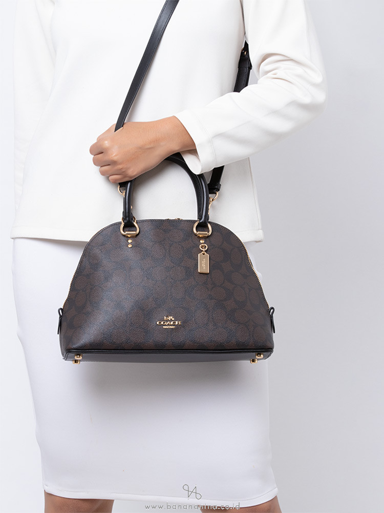 delsey medium luggage size