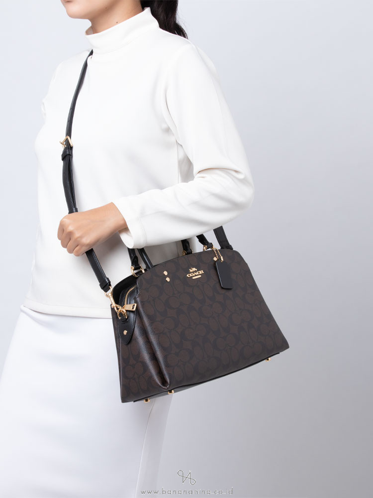 coach lillie carryall large