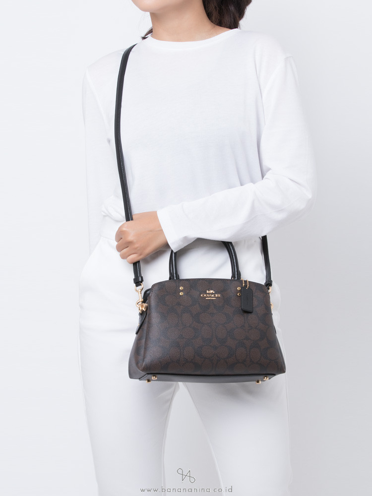 COACH MINI LILLIE VS LILLIE CARRYALL Here's The Difference Between The