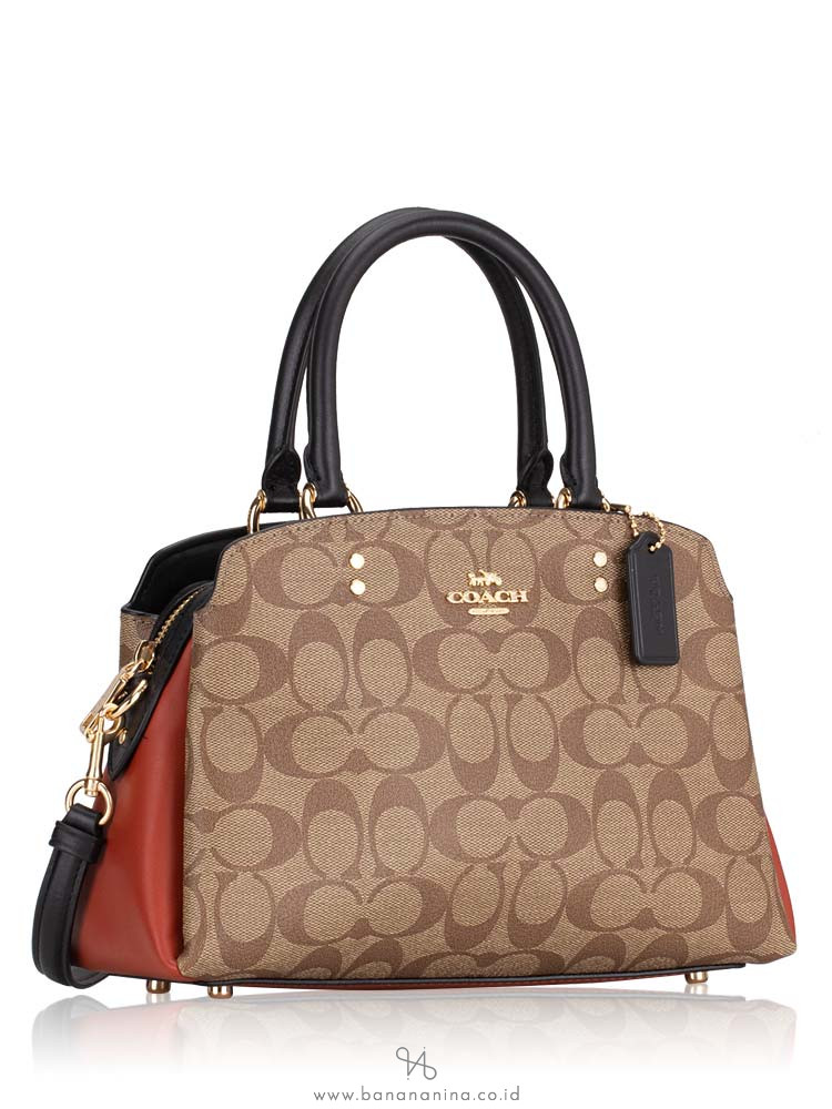 Mini lillie carryall in colorblock sales