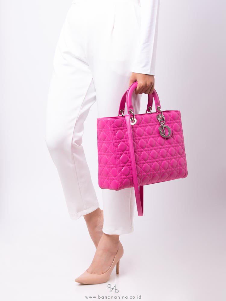 dior lambskin