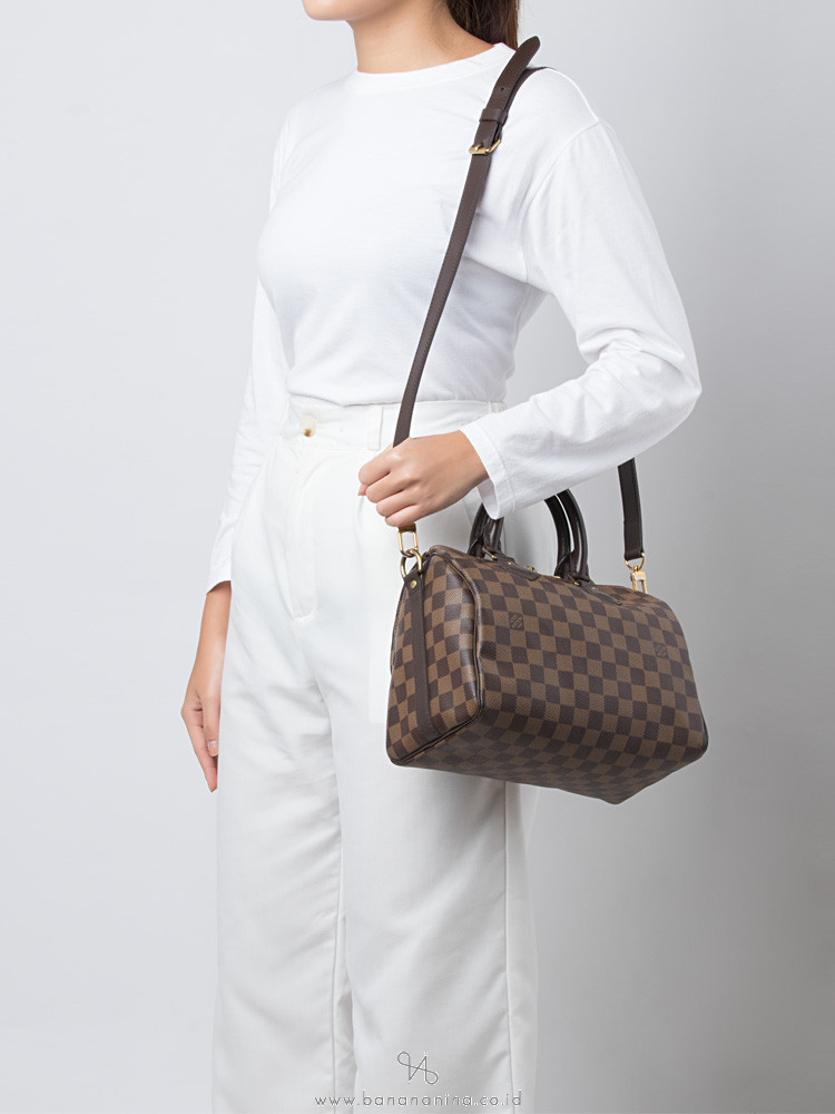 Luxury Handbag Regret Things I Dont Like About My Louis Vuitton Speedy B 25  Damier Ebene  YouTube