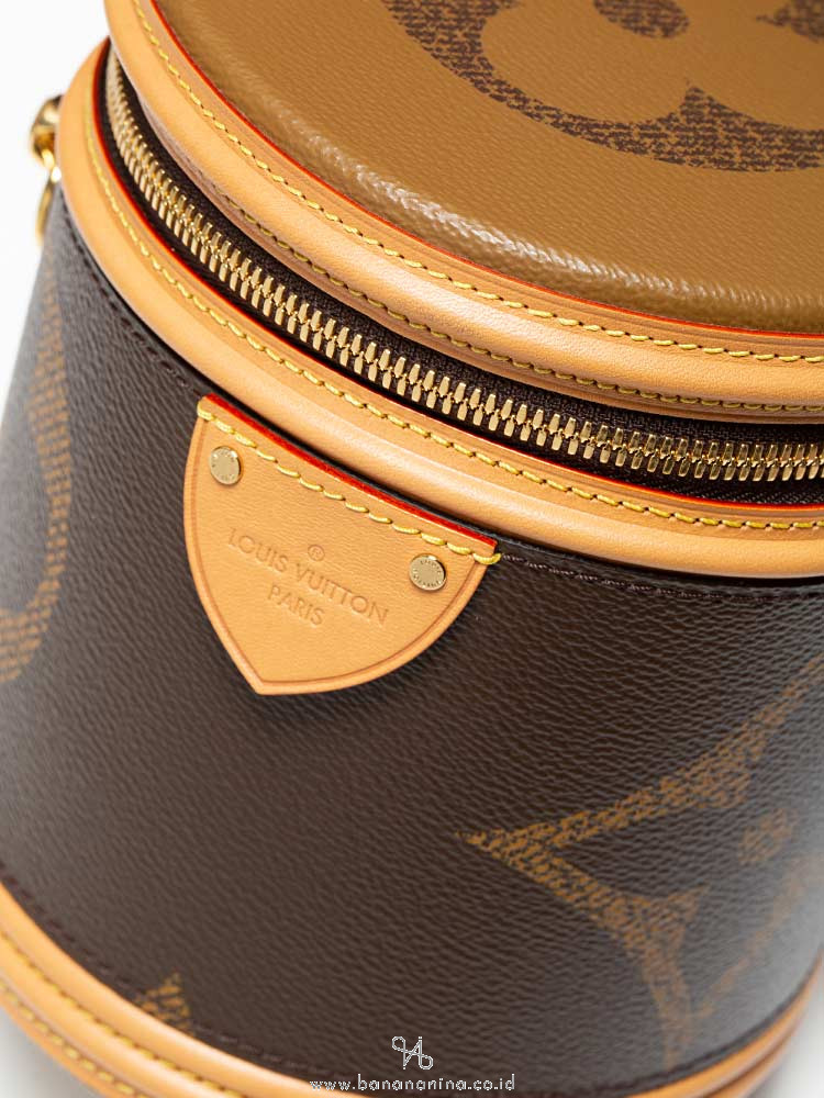 Louis+Vuitton+Cannes+Saddle+Bag+Brown+Canvas for sale online