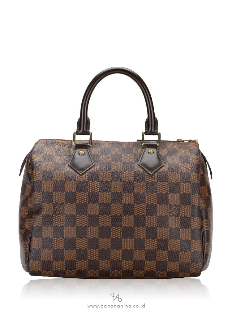 Louis Vuitton Damier Ebene Speedy 25 Bag