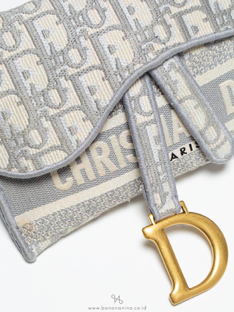 Saddle slim 2025 pouch dior