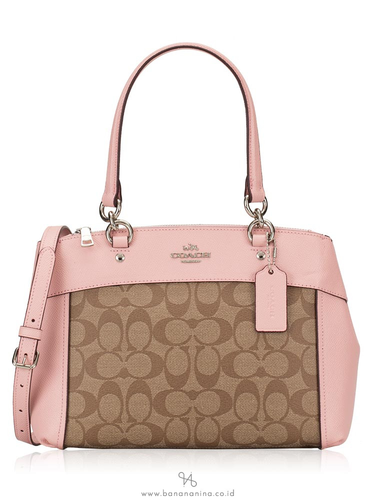 mini brooke carryall coach