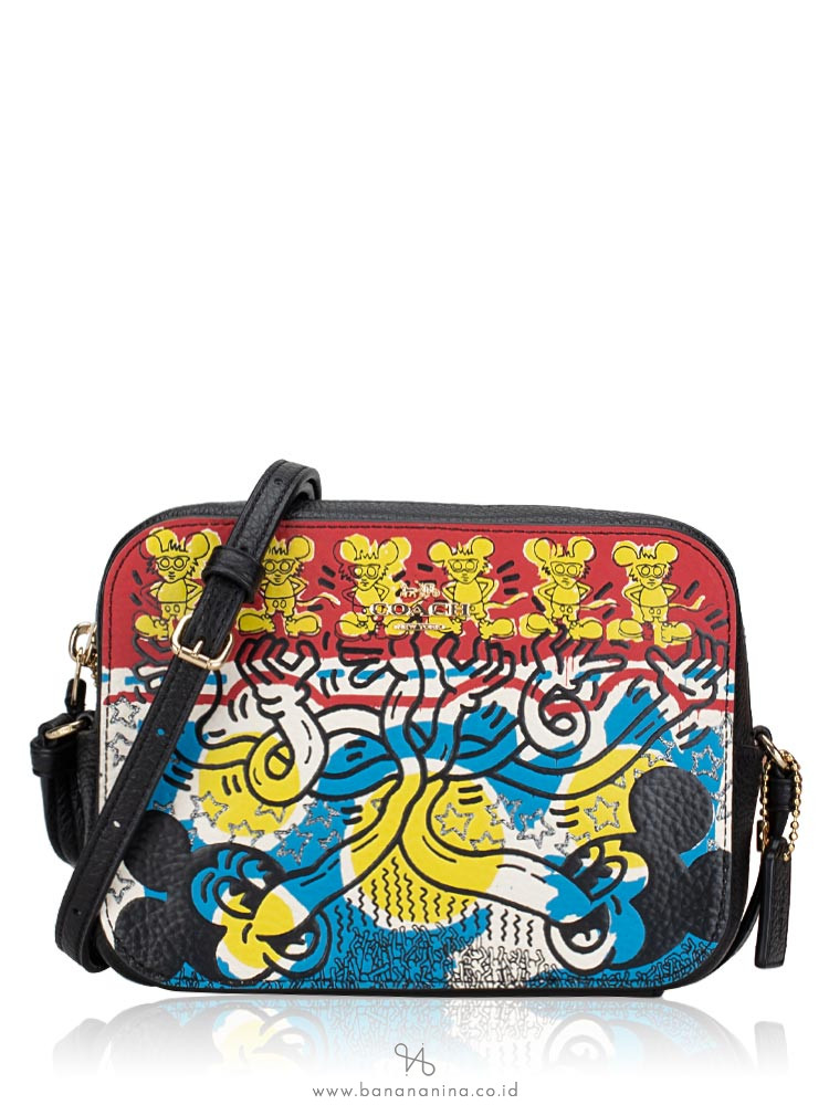 Coach x keith haring camera bag discount