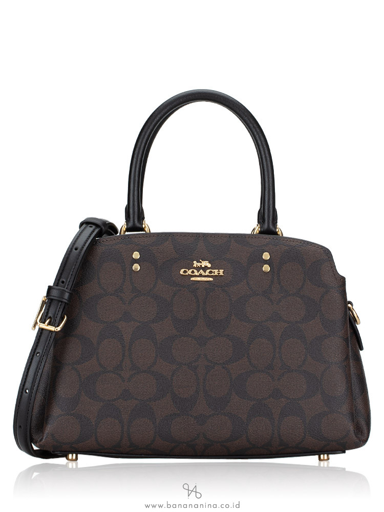 coach signature lillie carryall