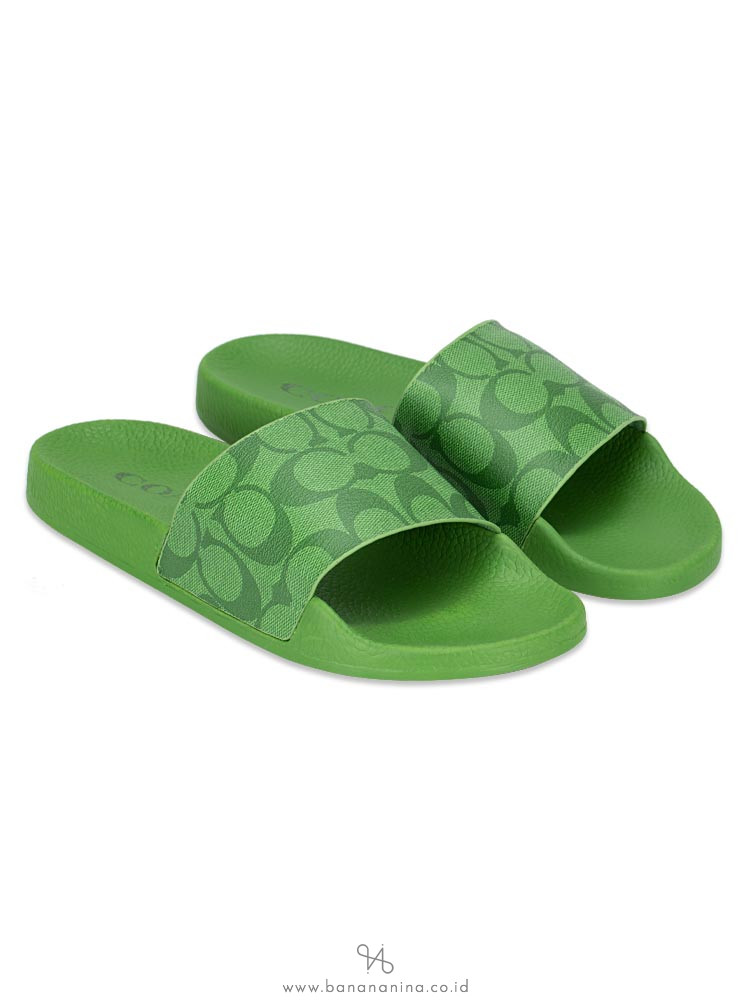 coach slides green