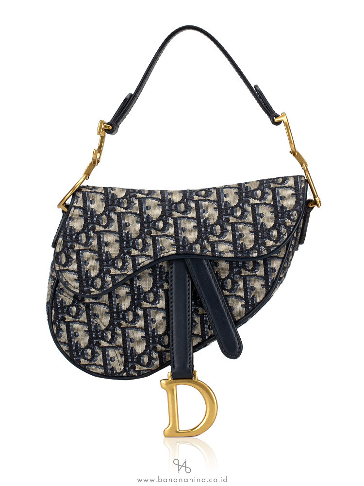 dior saddle ba