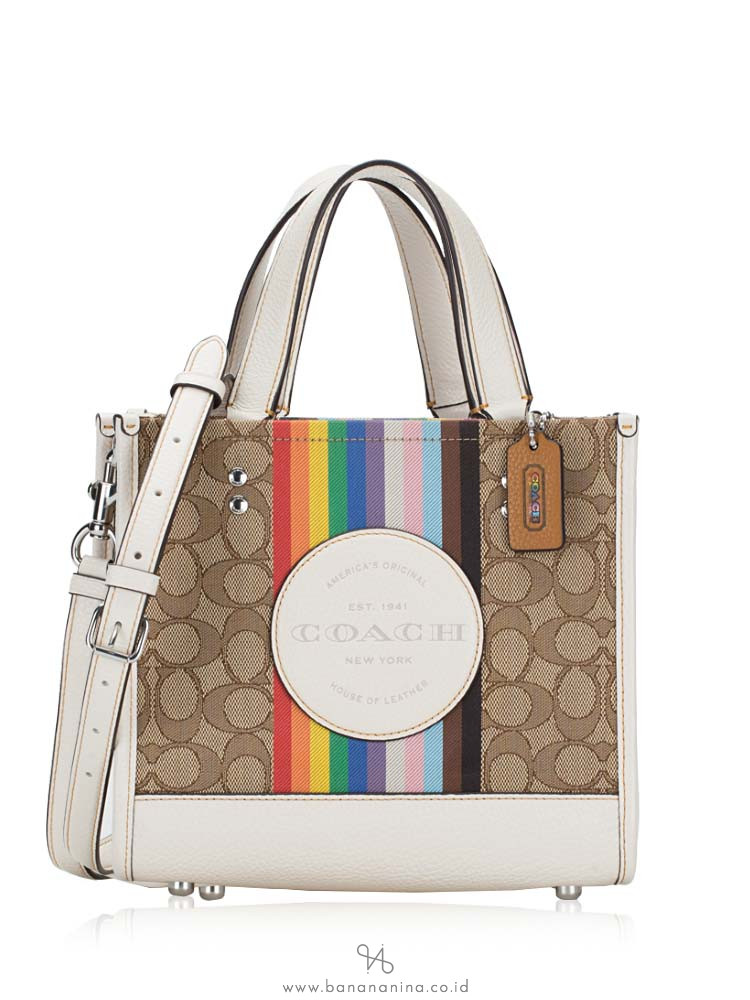 Rainbow stripe cheap coach purse