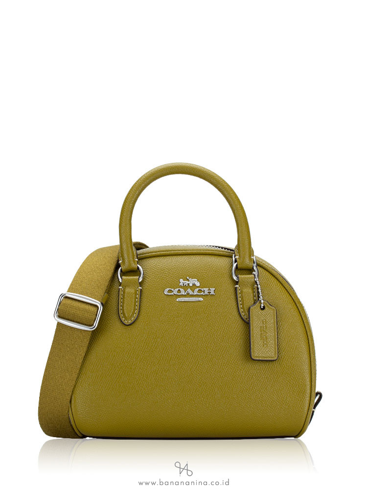 Coach mini dome sale satchel
