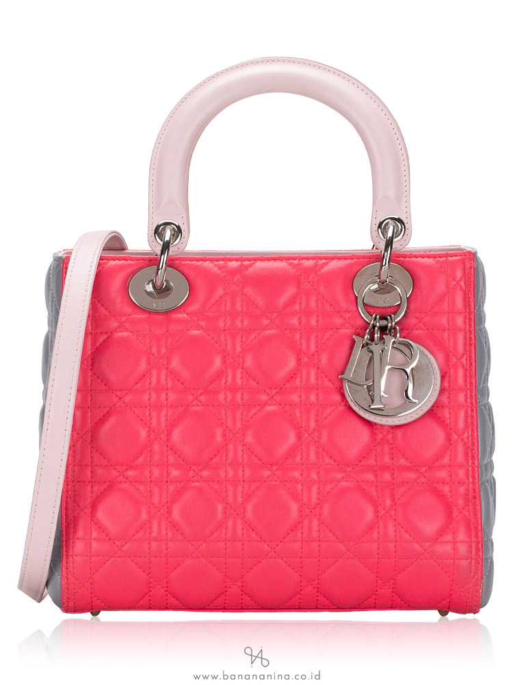 Tricolor sales lady dior