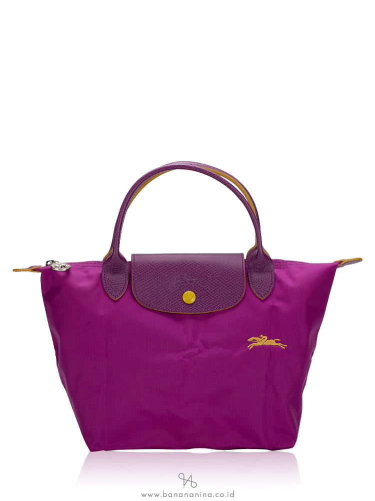 Longchamp violet bag on sale